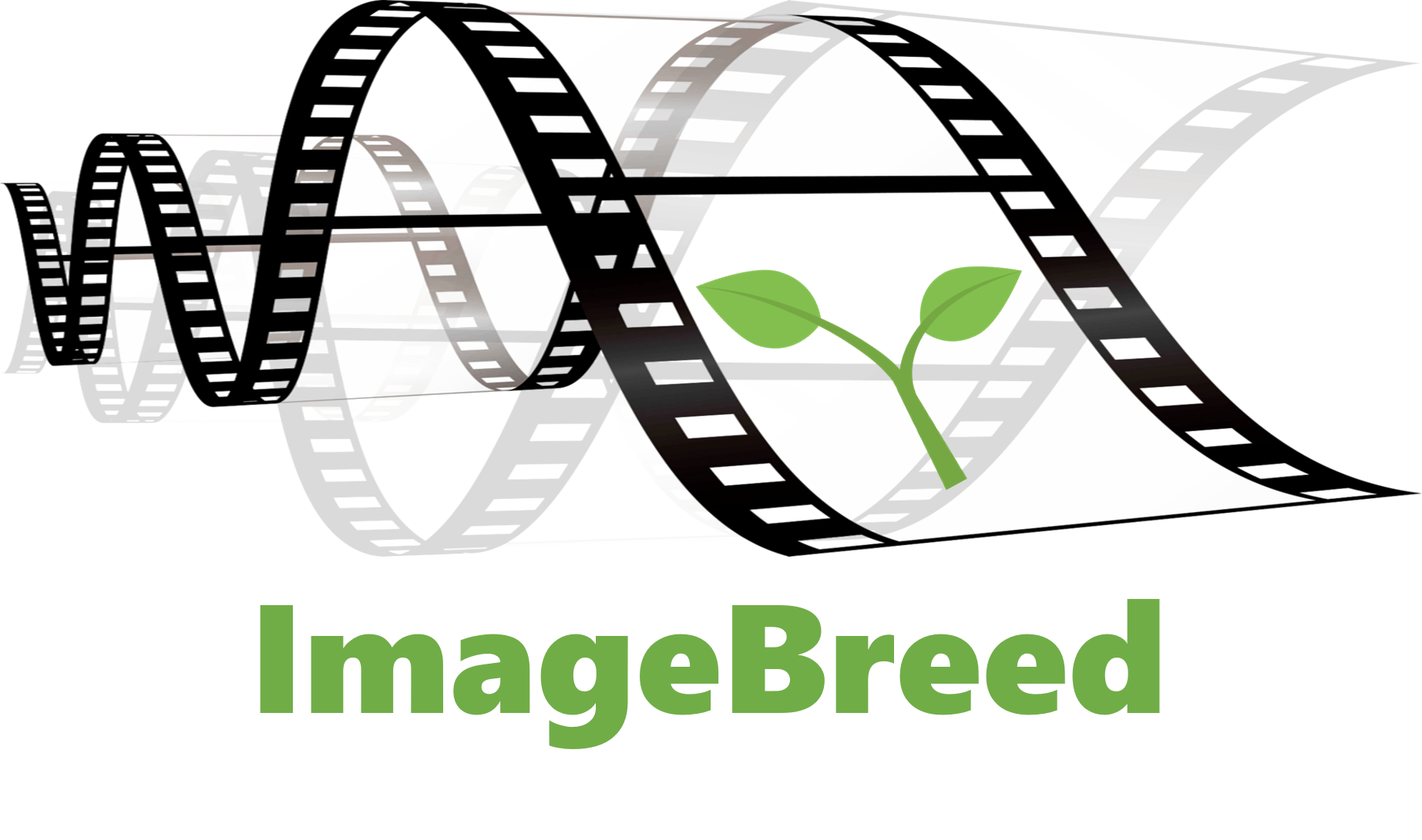 ImageBreed Home